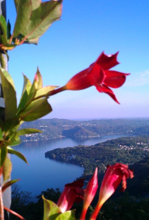 Hotel Panoramico Lago D'Orta (Adults Only) Madonna Del Sasso Екстер'єр фото